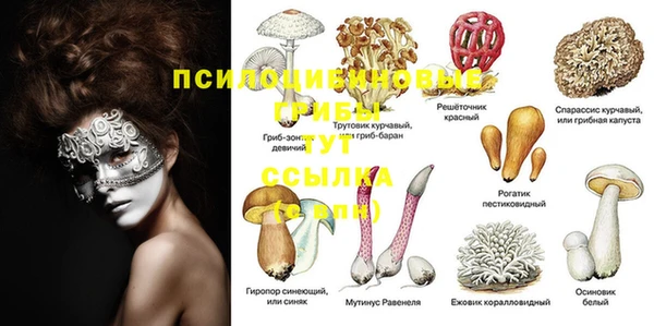 кокс Алзамай