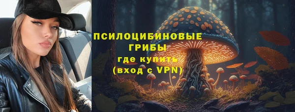 mdpv Алексин