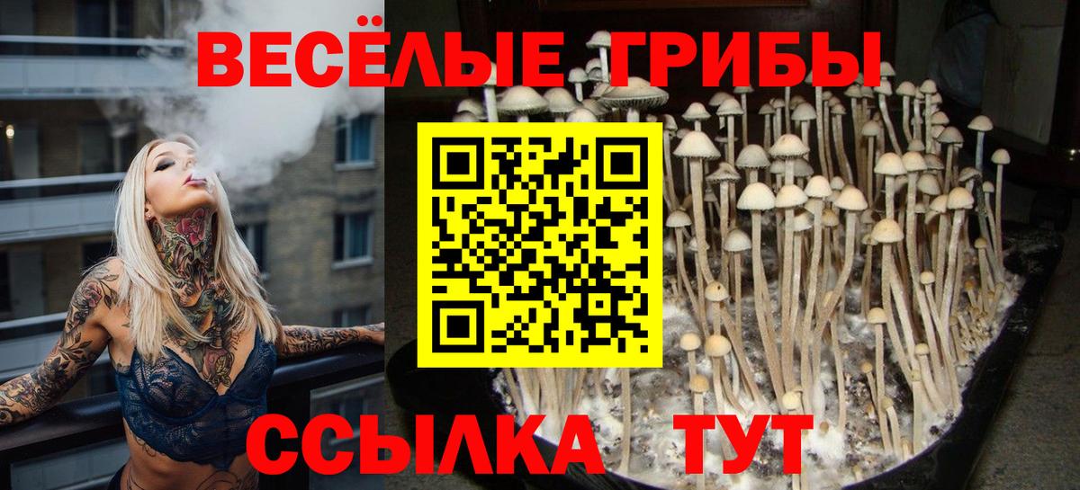 Когалым  Псилоцибиновые грибы GOLDEN TEACHER  магазин продажи наркотиков  Вход с VPN  Галлюциногенные грибы MAGIC MUSHROOMS 